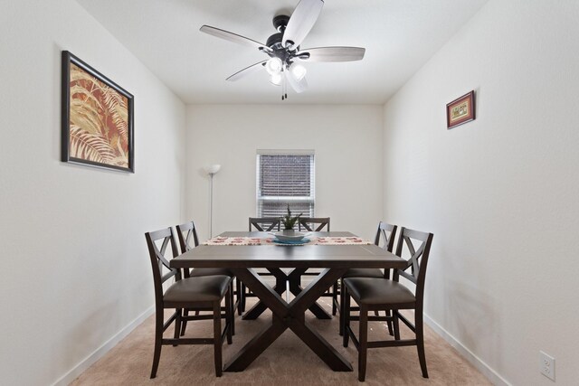 19906 Liberty Trail Ln, Missouri City, TX 77459 - photo 10