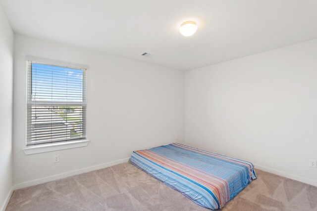 19906 Liberty Trail Ln, Missouri City, TX 77459 - photo 22