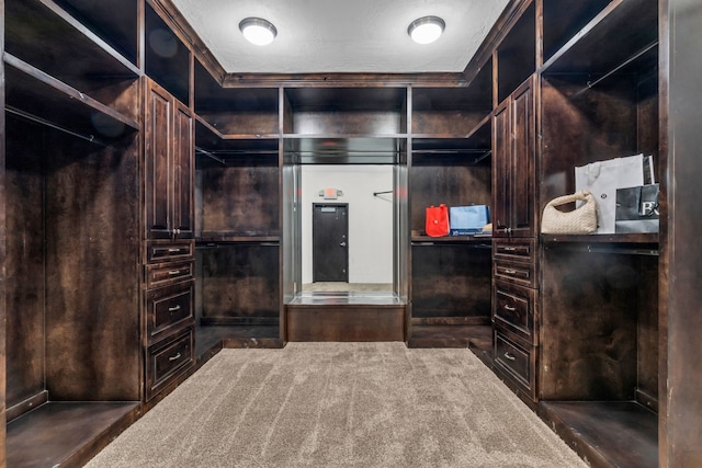 5912 T St, Katy, TX 77493 - walk in closet featuring carpet
