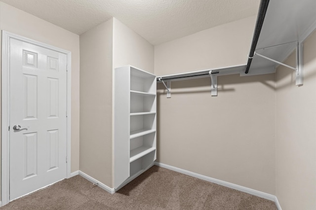 406 Oak Stream Dr, Conroe, TX 77304 - walk in closet featuring carpet