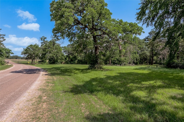LOT3 Tara Dr, Trinity, TX 75862