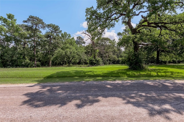 LOT3 Tara Dr, Trinity, TX 75862