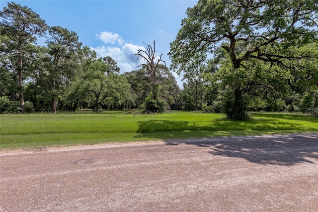 LOT3 Tara Dr, Trinity, TX 75862