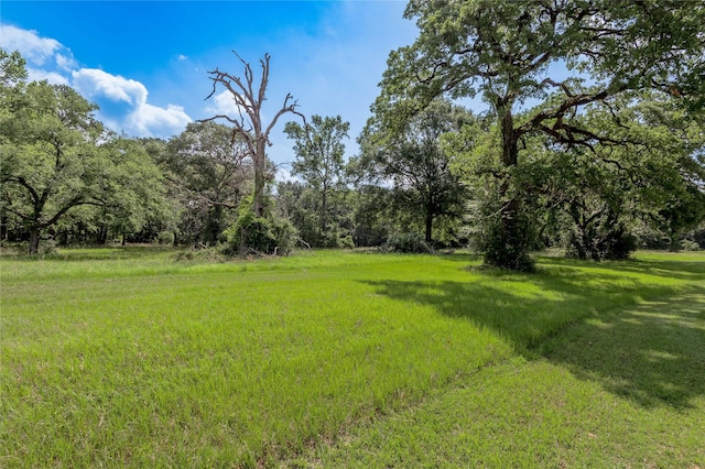 LOT3 Tara Dr, Trinity, TX 75862
