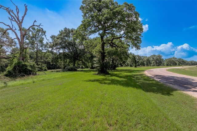 LOT3 Tara Dr, Trinity, TX 75862