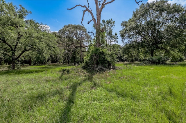 LOT3 Tara Dr, Trinity, TX 75862