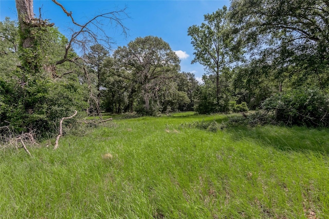 LOT3 Tara Dr, Trinity, TX 75862