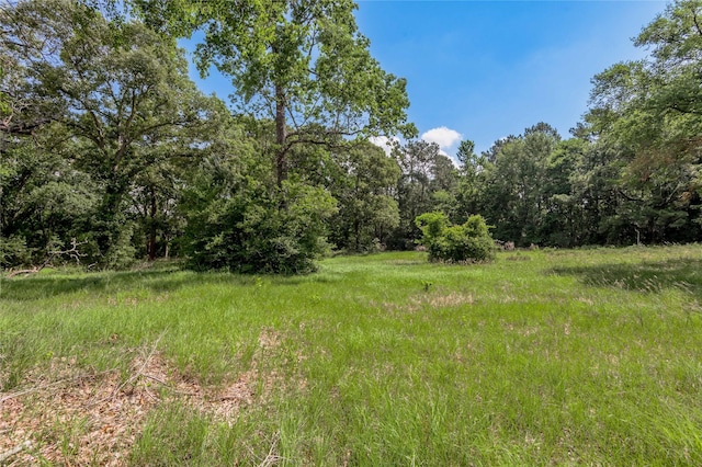 LOT3 Tara Dr, Trinity, TX 75862