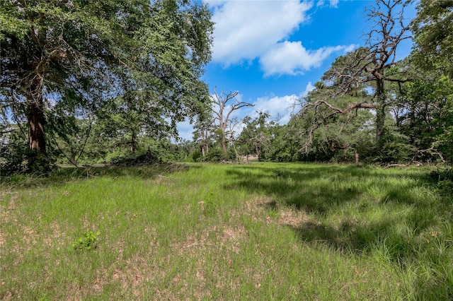 LOT3 Tara Dr, Trinity, TX 75862