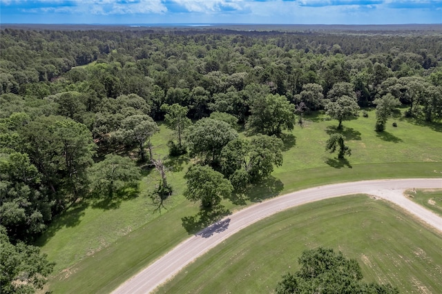 LOT3 Tara Dr, Trinity, TX 75862