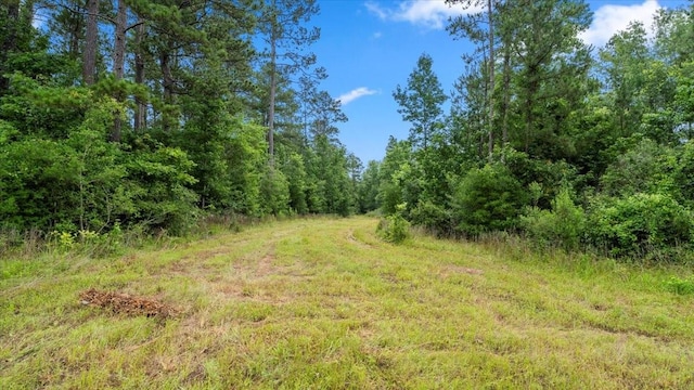 TBD Sharp Lane, Coldspring, TX 77331