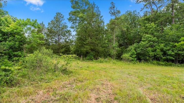 TBD Sharp Lane, Coldspring, TX 77331