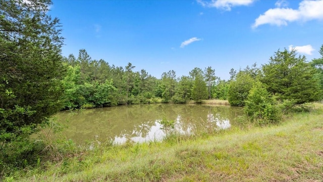 TBD Sharp Lane, Coldspring, TX 77331