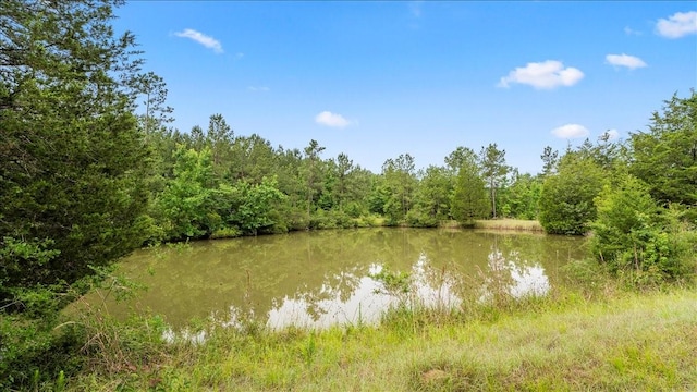 TBD Sharp Lane, Coldspring, TX 77331