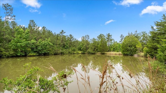 TBD Sharp Lane, Coldspring, TX 77331