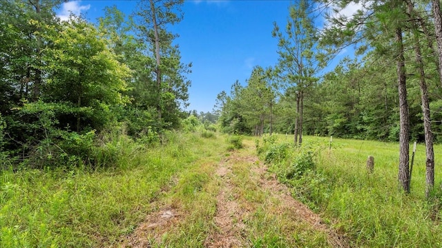 TBD Sharp Lane, Coldspring, TX 77331
