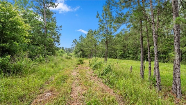 TBD Sharp Lane, Coldspring, TX 77331