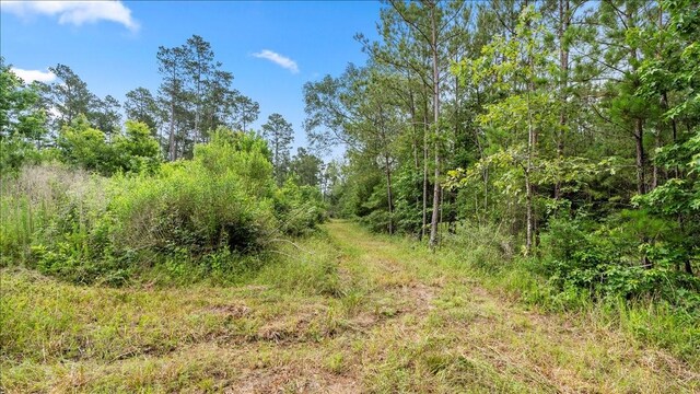 TBD Sharp Lane, Coldspring, TX 77331