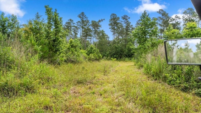 TBD Sharp Lane, Coldspring, TX 77331