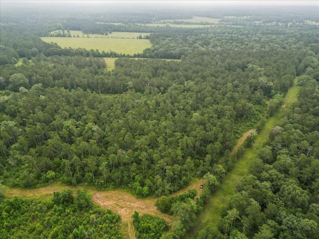TBD Sharp Lane, Coldspring, TX 77331