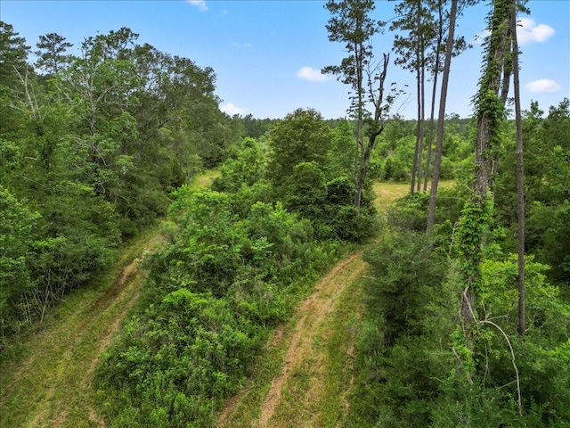 TBD Sharp Lane, Coldspring, TX 77331