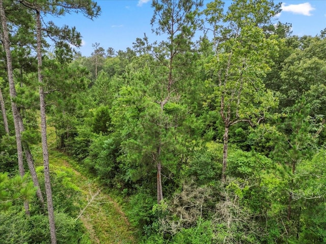 TBD Sharp Lane, Coldspring, TX 77331