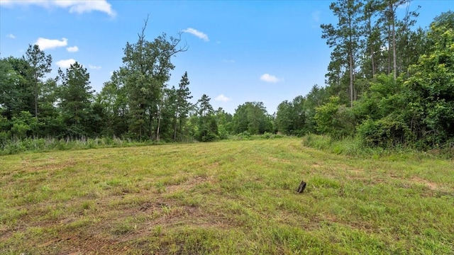 TBD Sharp Lane, Coldspring, TX 77331