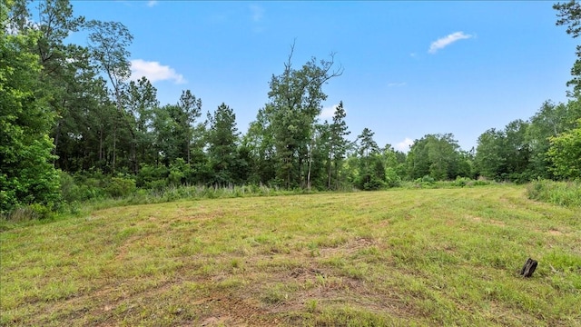 TBD Sharp Lane, Coldspring, TX 77331