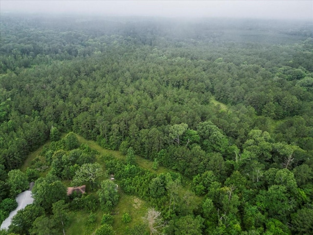TBD Sharp Lane, Coldspring, TX 77331