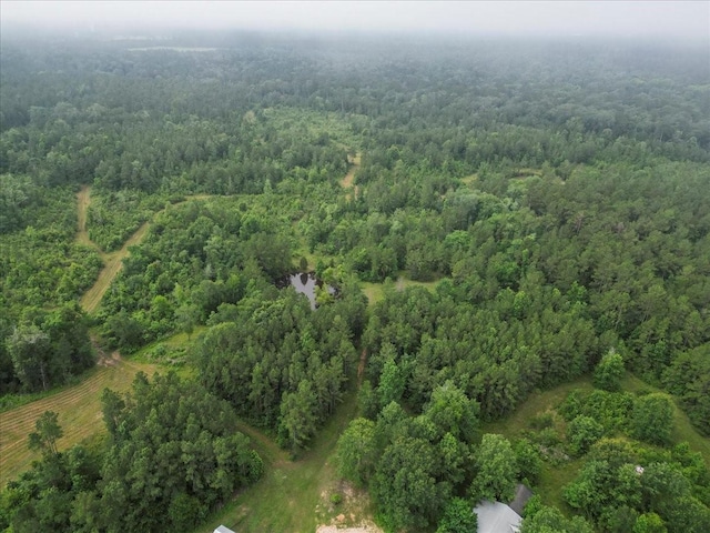 TBD Sharp Lane, Coldspring, TX 77331