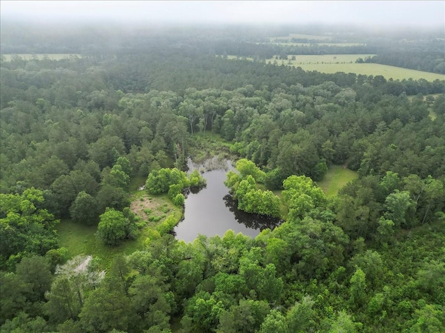 TBD Sharp Lane, Coldspring, TX 77331