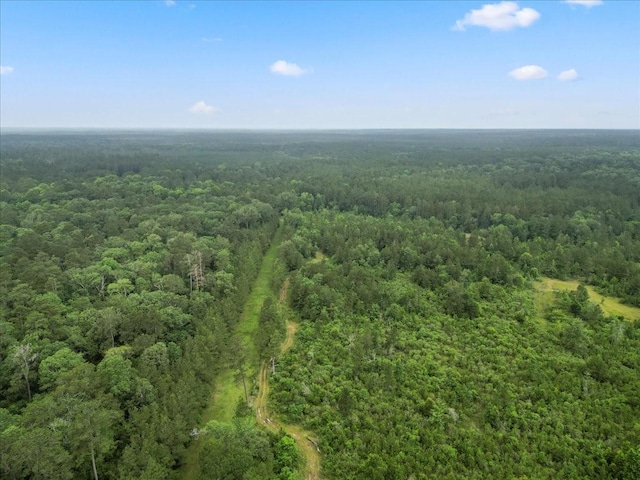 TBD Sharp Lane, Coldspring, TX 77331