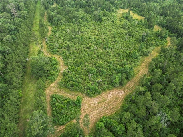 TBD Sharp Lane, Coldspring, TX 77331