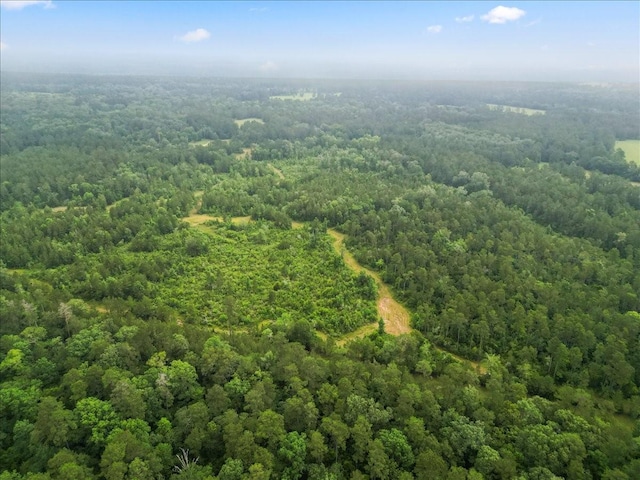 TBD Sharp Lane, Coldspring, TX 77331