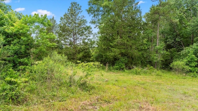TBD Sharp Lane, Coldspring, TX 77331