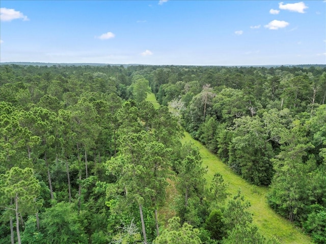 TBD Sharp Lane, Coldspring, TX 77331