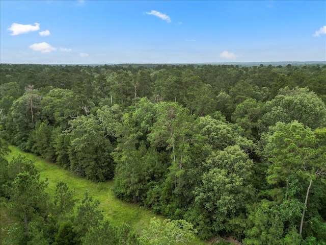 TBD Sharp Lane, Coldspring, TX 77331