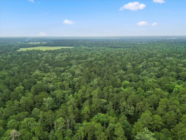 TBD Sharp Lane, Coldspring, TX 77331