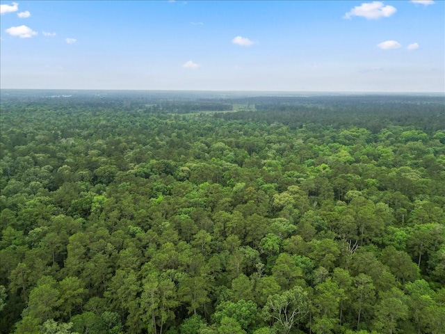 TBD Sharp Lane, Coldspring, TX 77331