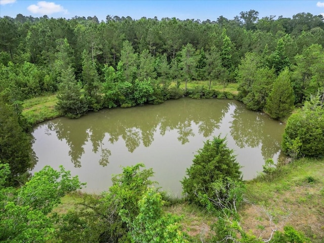 TBD Sharp Lane, Coldspring, TX 77331
