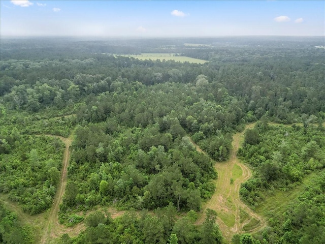 TBD Sharp Lane, Coldspring, TX 77331