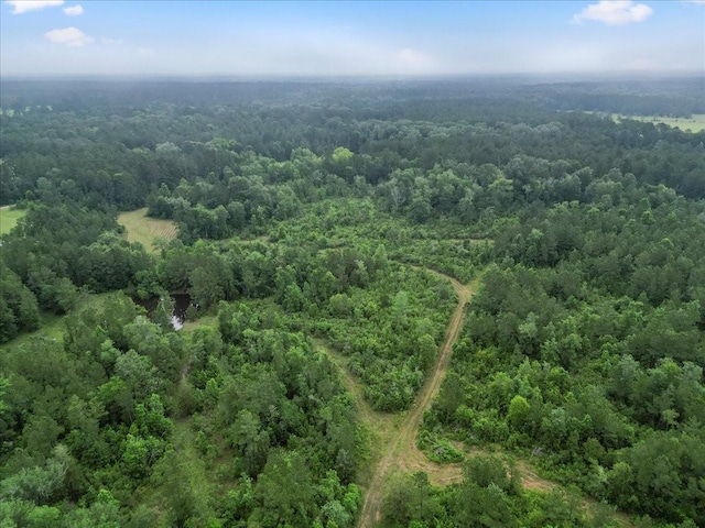 TBD Sharp Lane, Coldspring, TX 77331