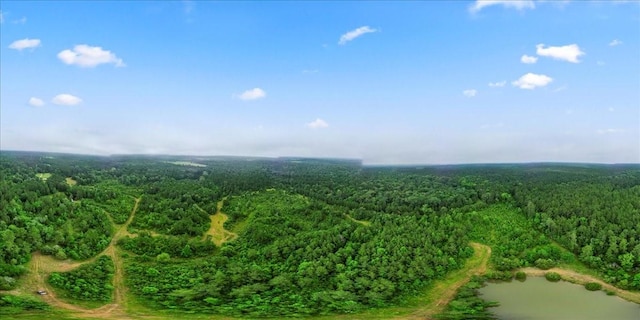 TBD Sharp Lane, Coldspring, TX 77331