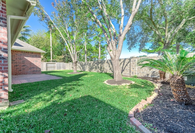 24034 River Place Dr, Katy, TX 77494 - view of yard