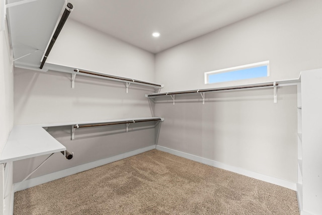 111 E 2nd St, Houston, TX 77007 - walk in closet with carpet flooring