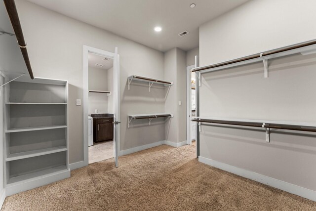 111 E 2nd St, Houston, TX 77007 - spacious closet with light carpet