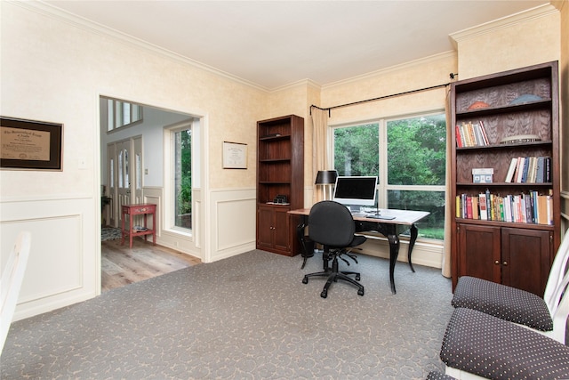 901 Hartrick Canyon Dr, Temple, TX 76502 - carpeted office space with ornamental molding and wainscoting