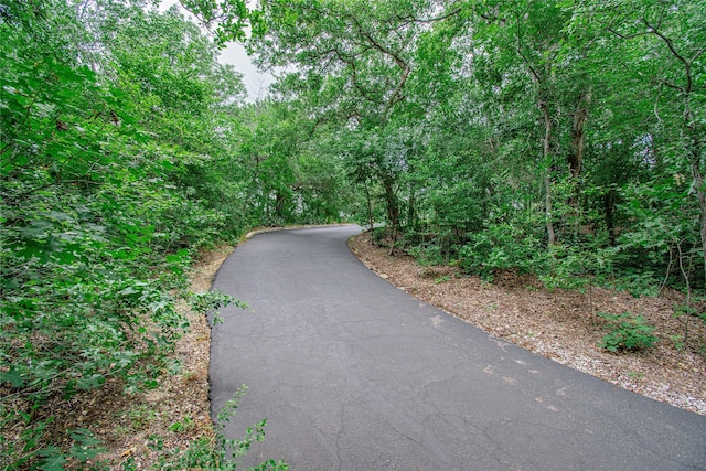 901 Hartrick Canyon Dr, Temple, TX 76502 - view of road featuring a view of trees