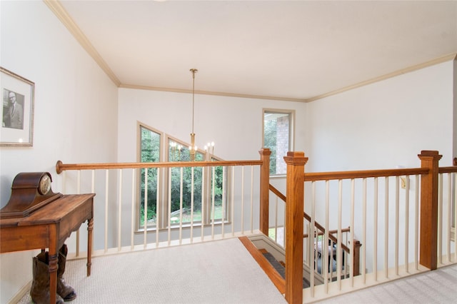 901 Hartrick Canyon Dr, Temple, TX 76502 - corridor with ornamental molding, a chandelier, carpet flooring, and an upstairs landing
