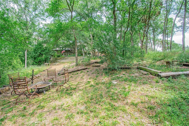 901 Hartrick Canyon Dr, Temple, TX 76502 - view of yard featuring a fire pit